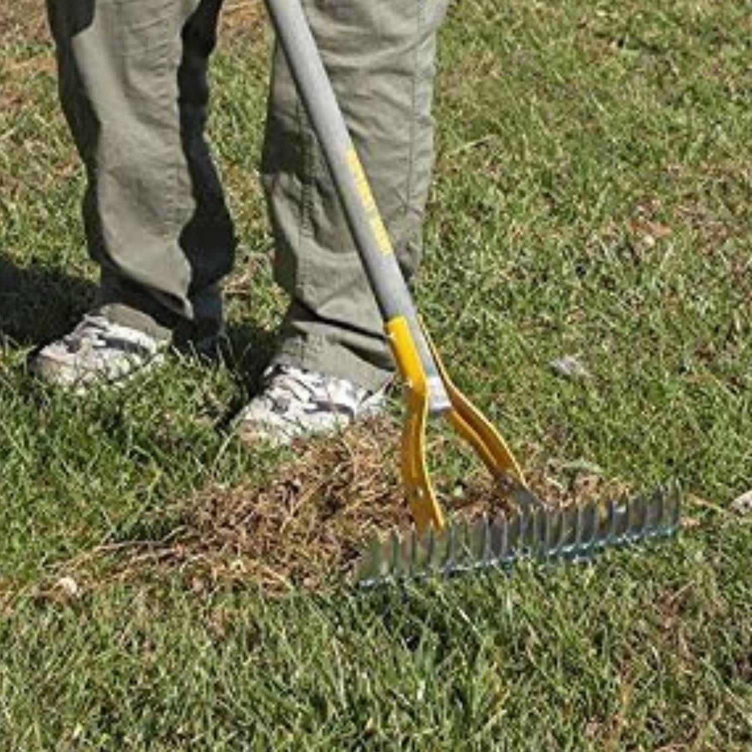 Grass Dethatcher Rake: image 7